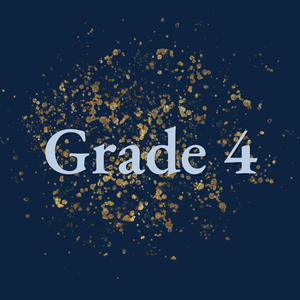 Grade 4 - Mr. Le